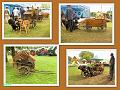 24-7-2011 5de Crijtrally (128)-2